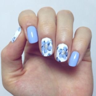 Летний маникюр на коротких ногтях, бело-голубой маникюр с цветами